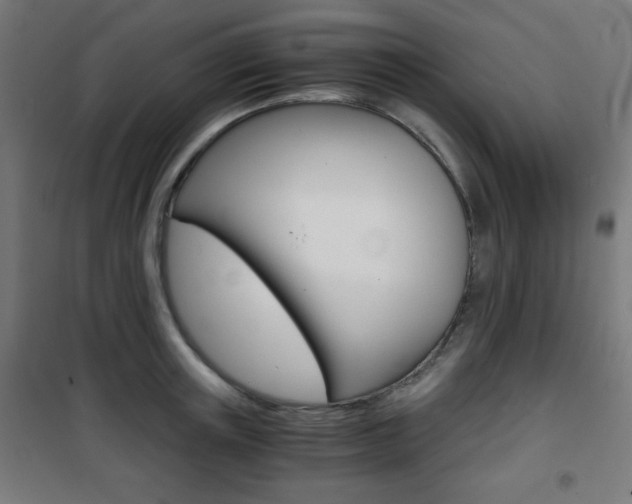 X0000101390851200807071003