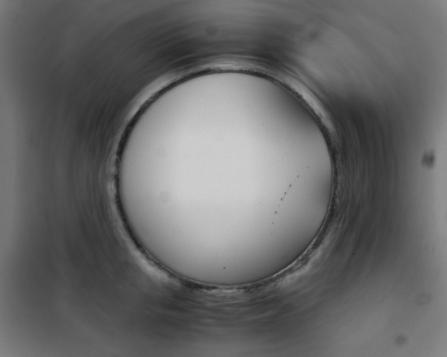 X0000101390853200807071003