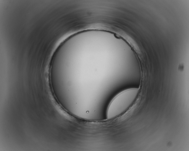 X0000101390854200807071003