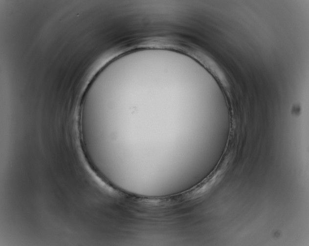 X0000101390855200807071003
