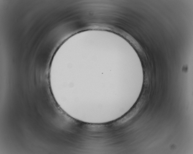 X0000101390856200807071003