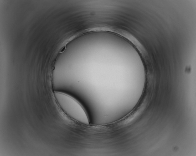 X0000101390857200807071003