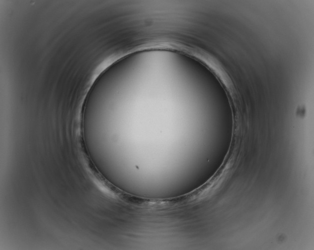 X0000101390858200807071003