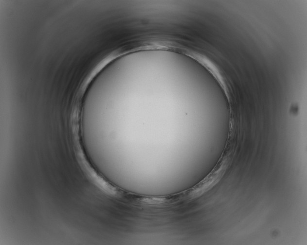 X0000101390859200807071003