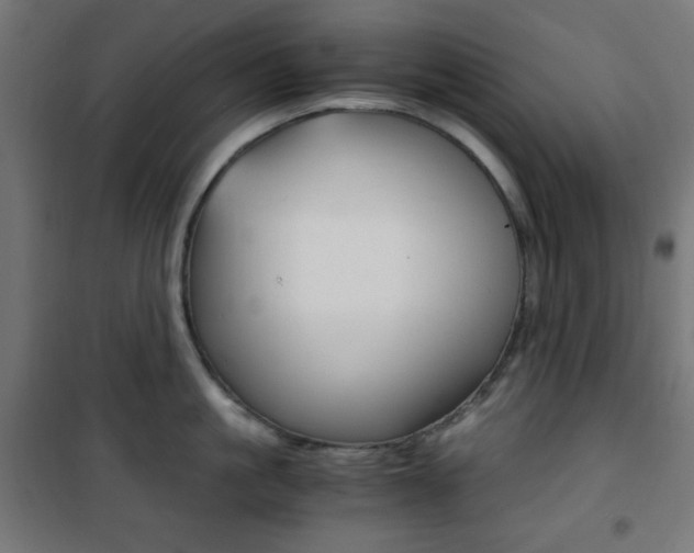 X0000101390861200807071003