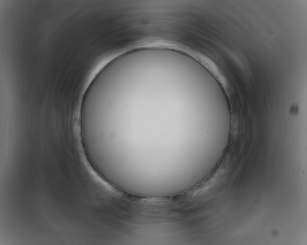 X0000101390863200807071003