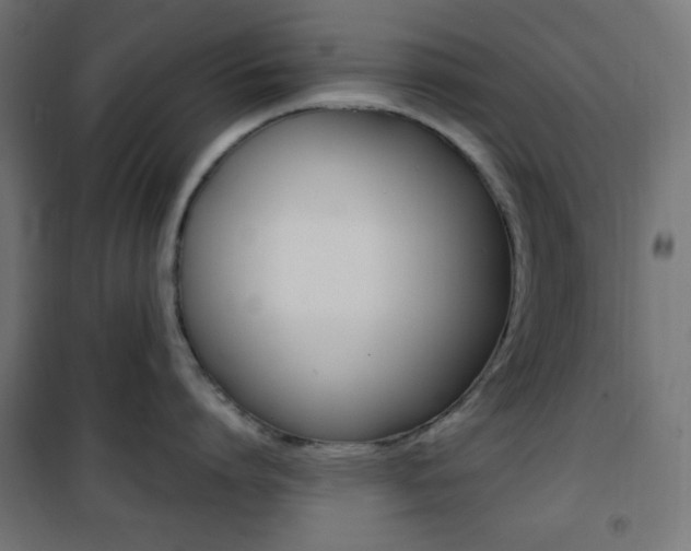 X0000101390864200807071003