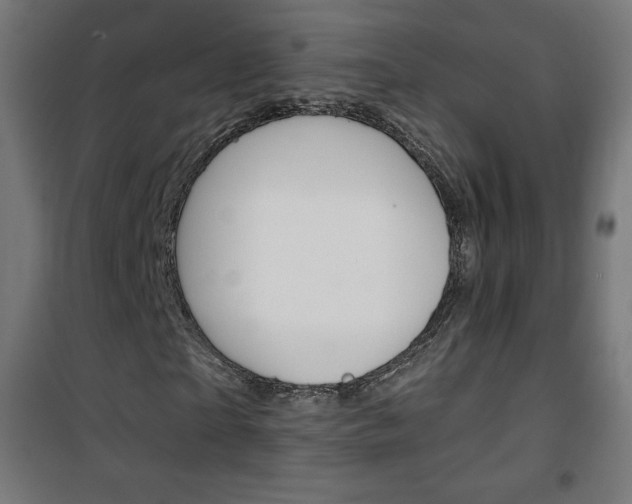 X0000101390865200807071003