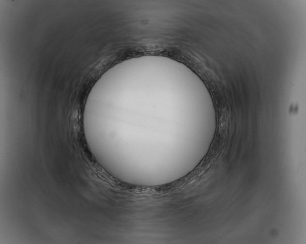 X0000101390866200807071003