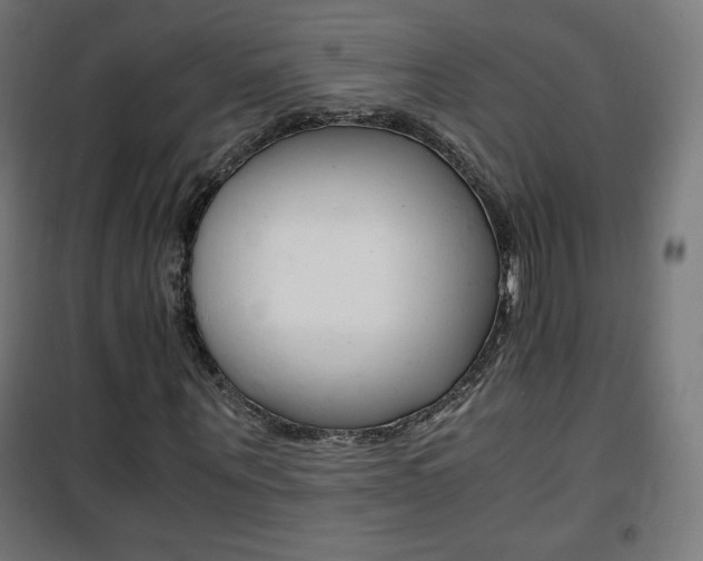 X0000101390867200807071003