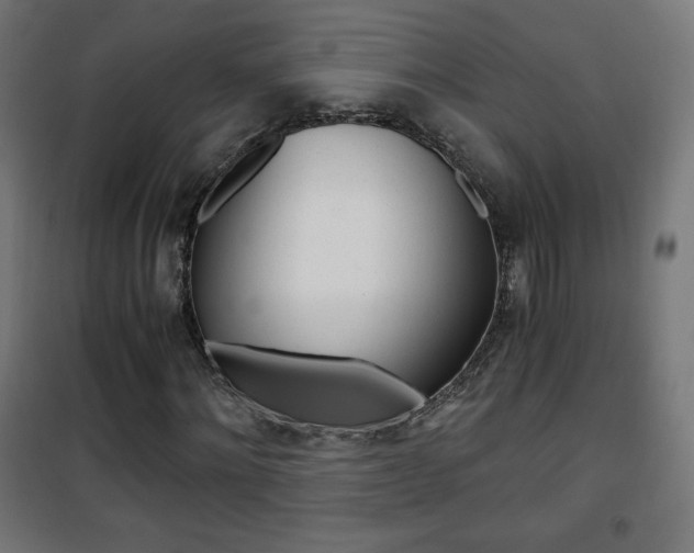X0000101390868200807071003