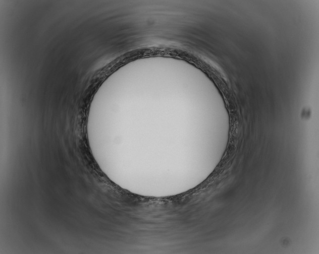 X0000101390869200807071003