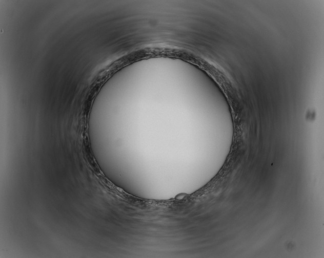 X0000101390870200807071003