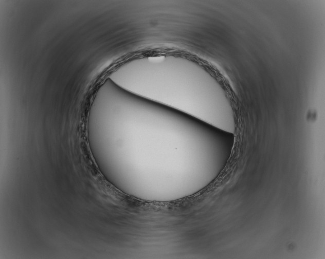 X0000101390871200807071003