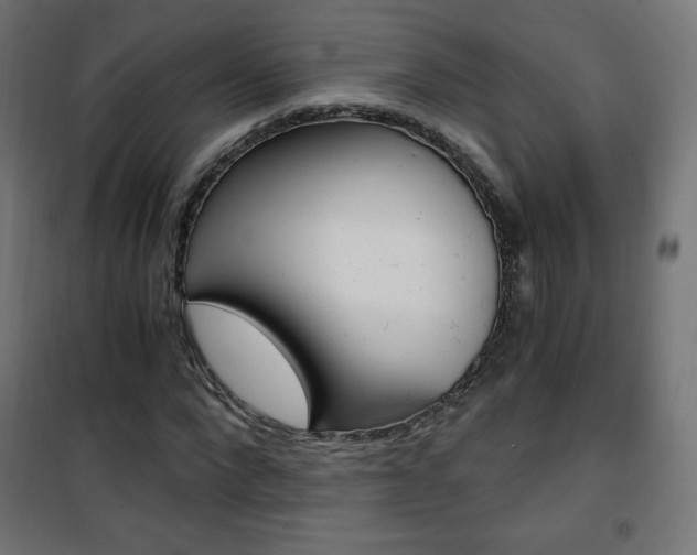 X0000101390872200807071003