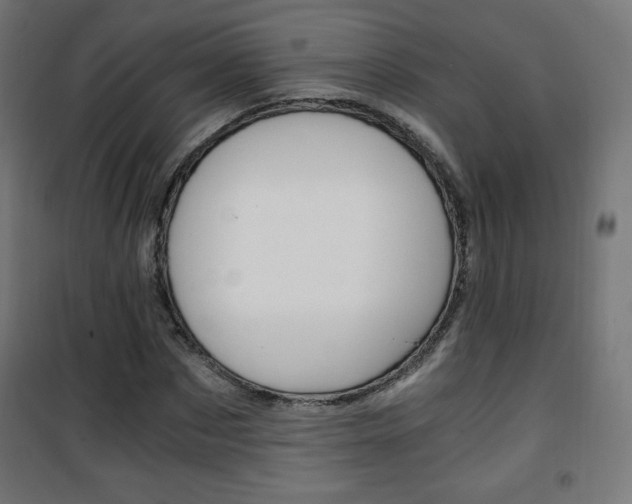 X0000101390873200807071002