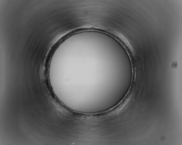 X0000101390876200807071002