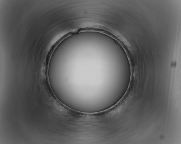 X0000101390877200807071002