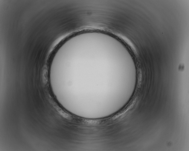 X0000101390878200807071002