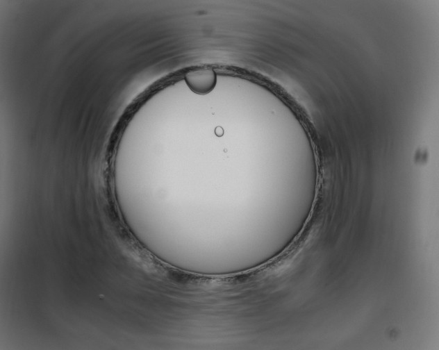 X0000101390879200807071002