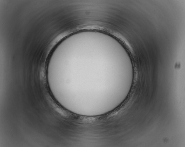 X0000101390882200807071002