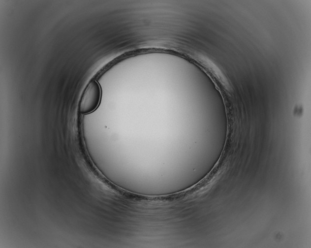 X0000101390884200807071002