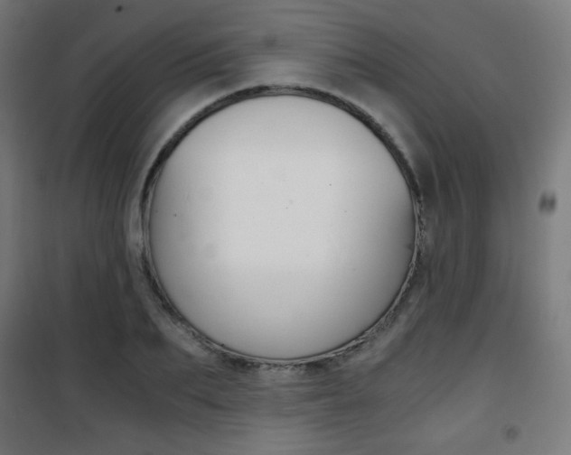 X0000101390887200807071002