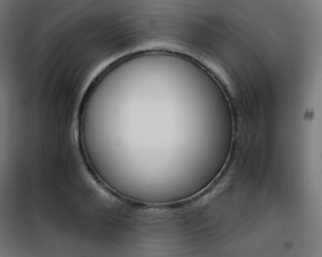 X0000101390888200807071002