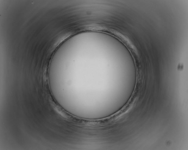 X0000101390889200807071002