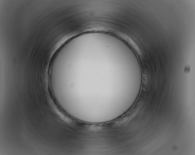 X0000101390890200807071002