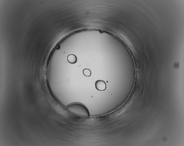 X0000101390891200807071002