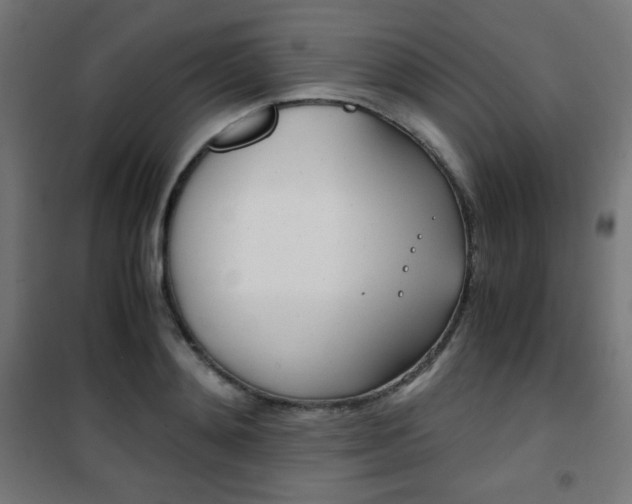 X0000101390892200807071002