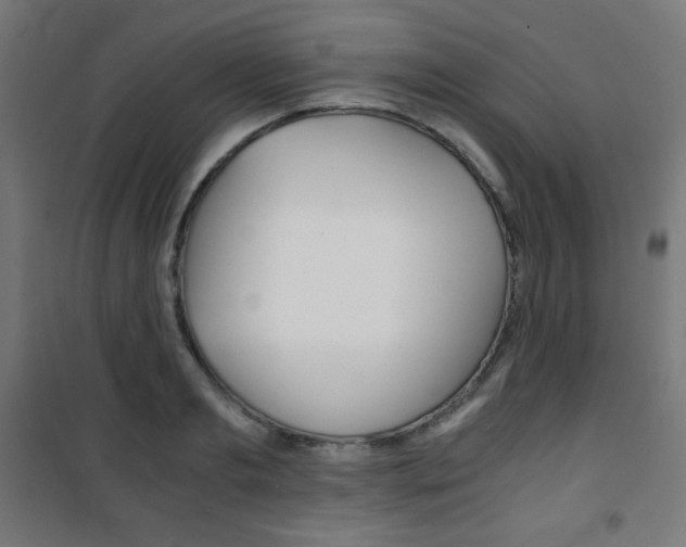 X0000101390893200807071002