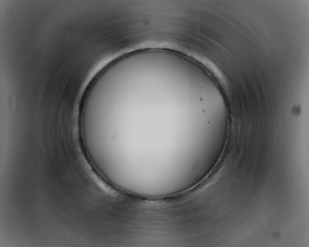 X0000101390894200807071002