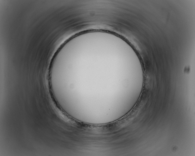 X0000101390895200807071002