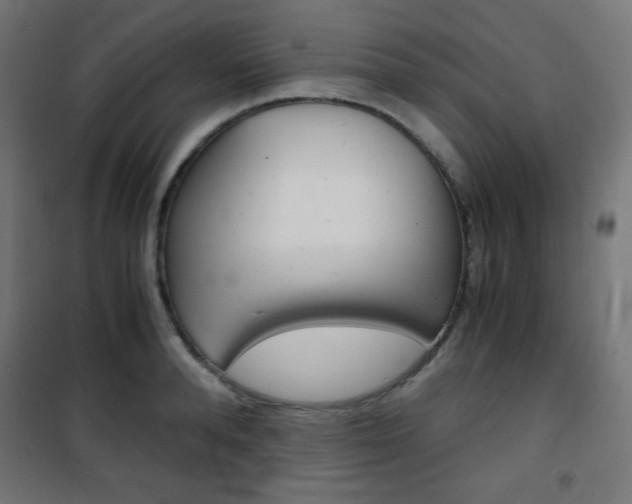 X0000101390896200807071002