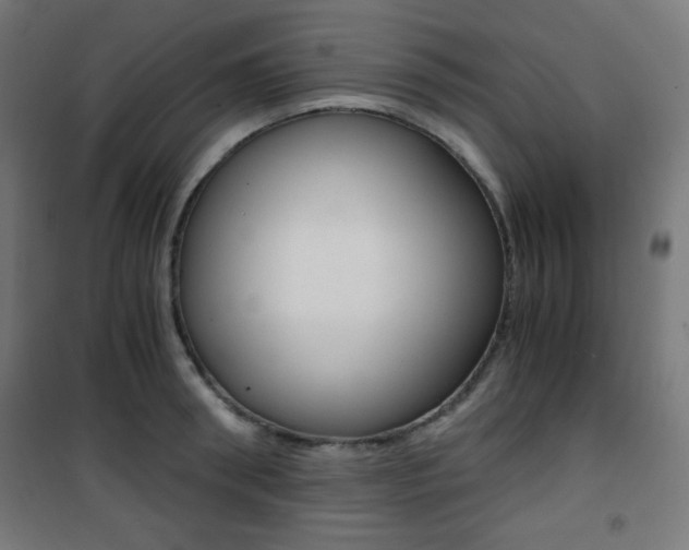 X0000101390898200807071002