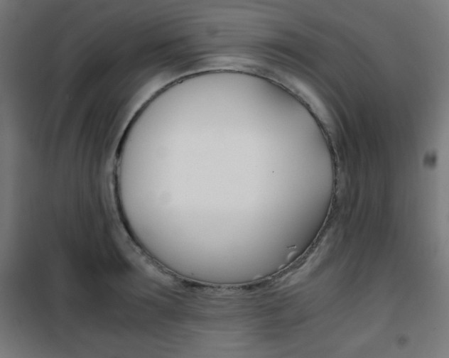 X0000101390899200807071002
