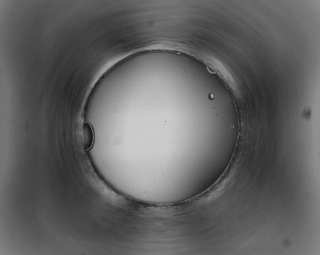 X0000101390900200807071002
