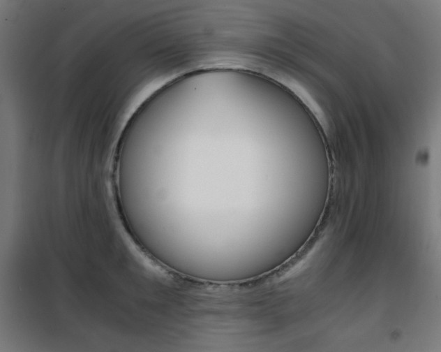 X0000101390901200807071002