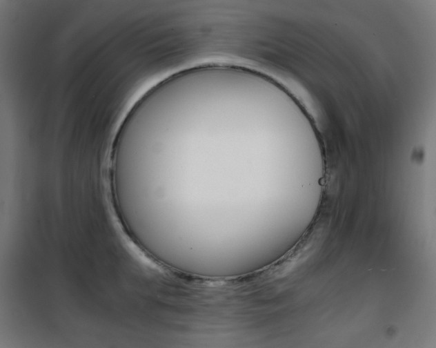 X0000101390903200807071002