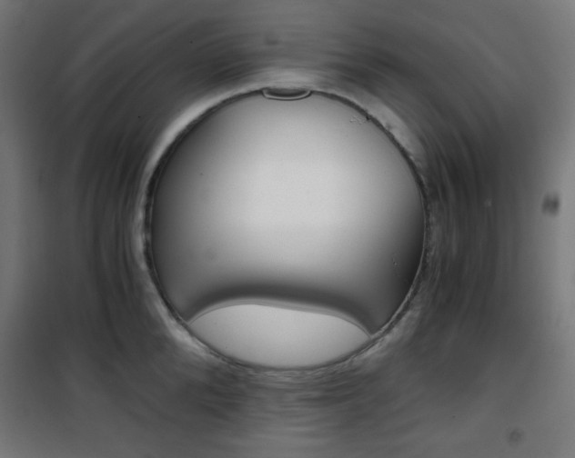X0000101390904200807071002