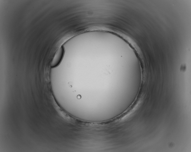 X0000101390905200807071002