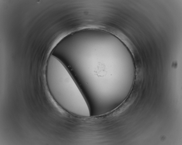 X0000101390906200807071002
