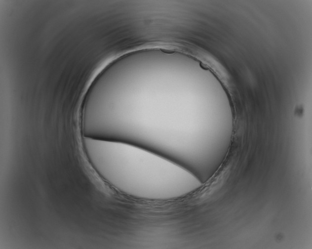 X0000101390907200807071002