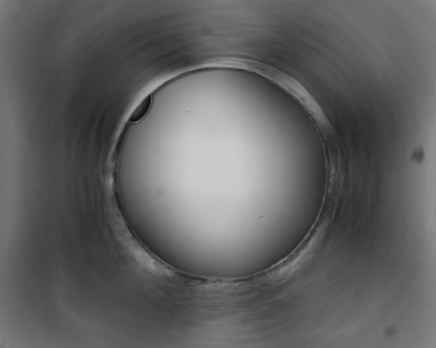 X0000101390908200807071002