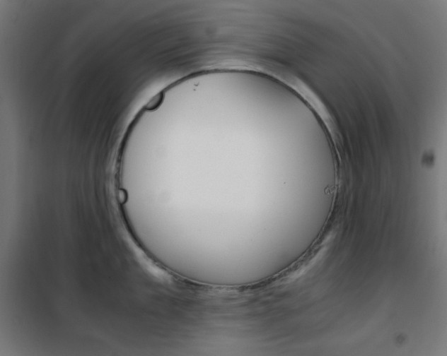 X0000101390909200807071002