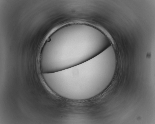 X0000101390911200807071002