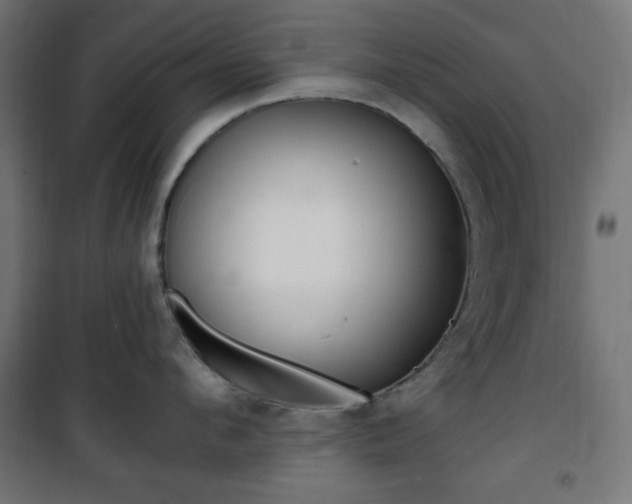 X0000101390912200807071002