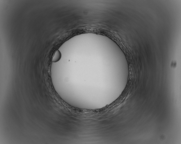 X0000101390913200807071001